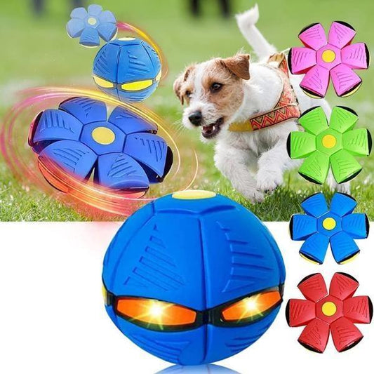 Giocattolo Palla Frisbee-1